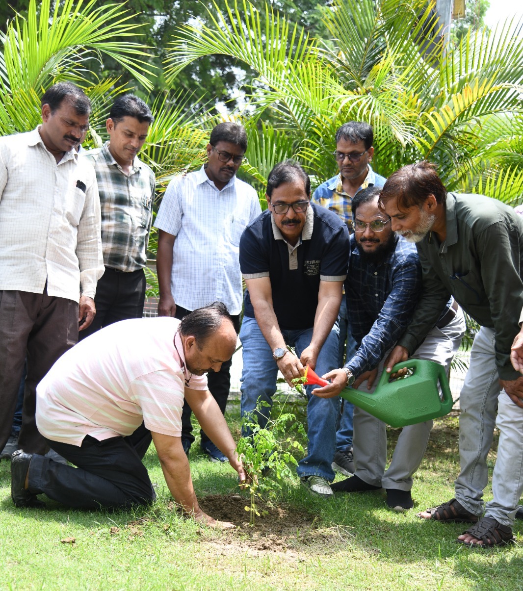 Plantation Drive