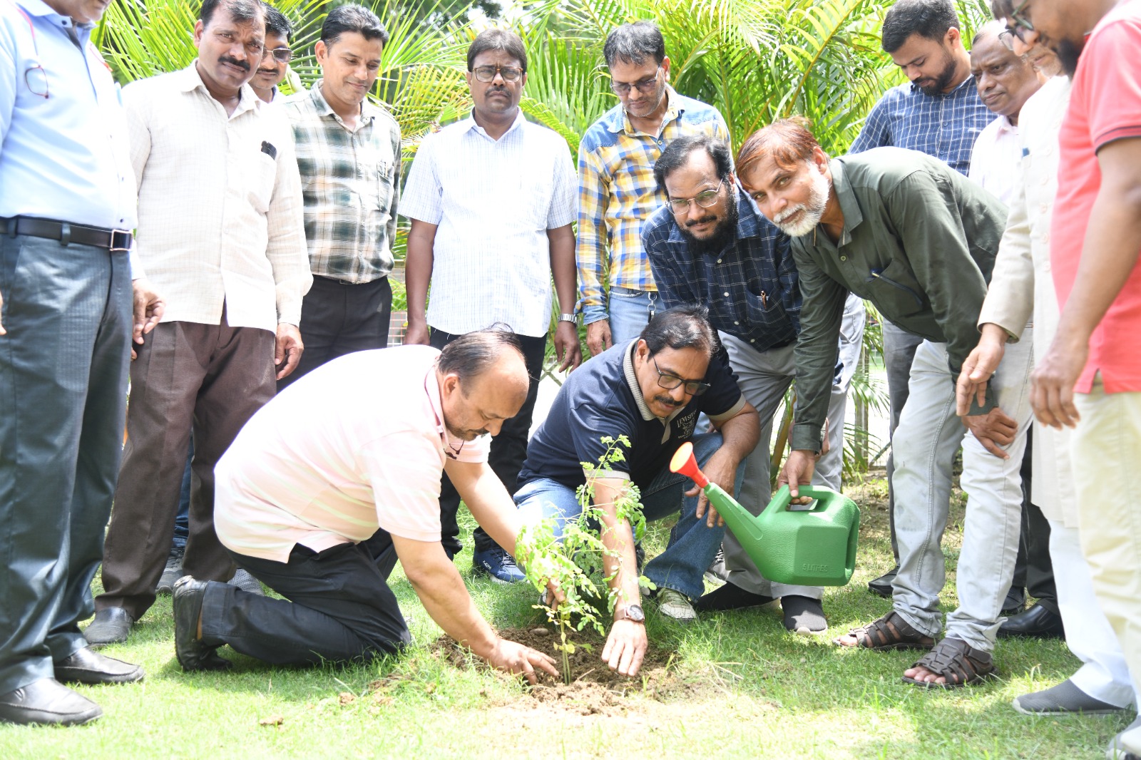 Plantation Drive