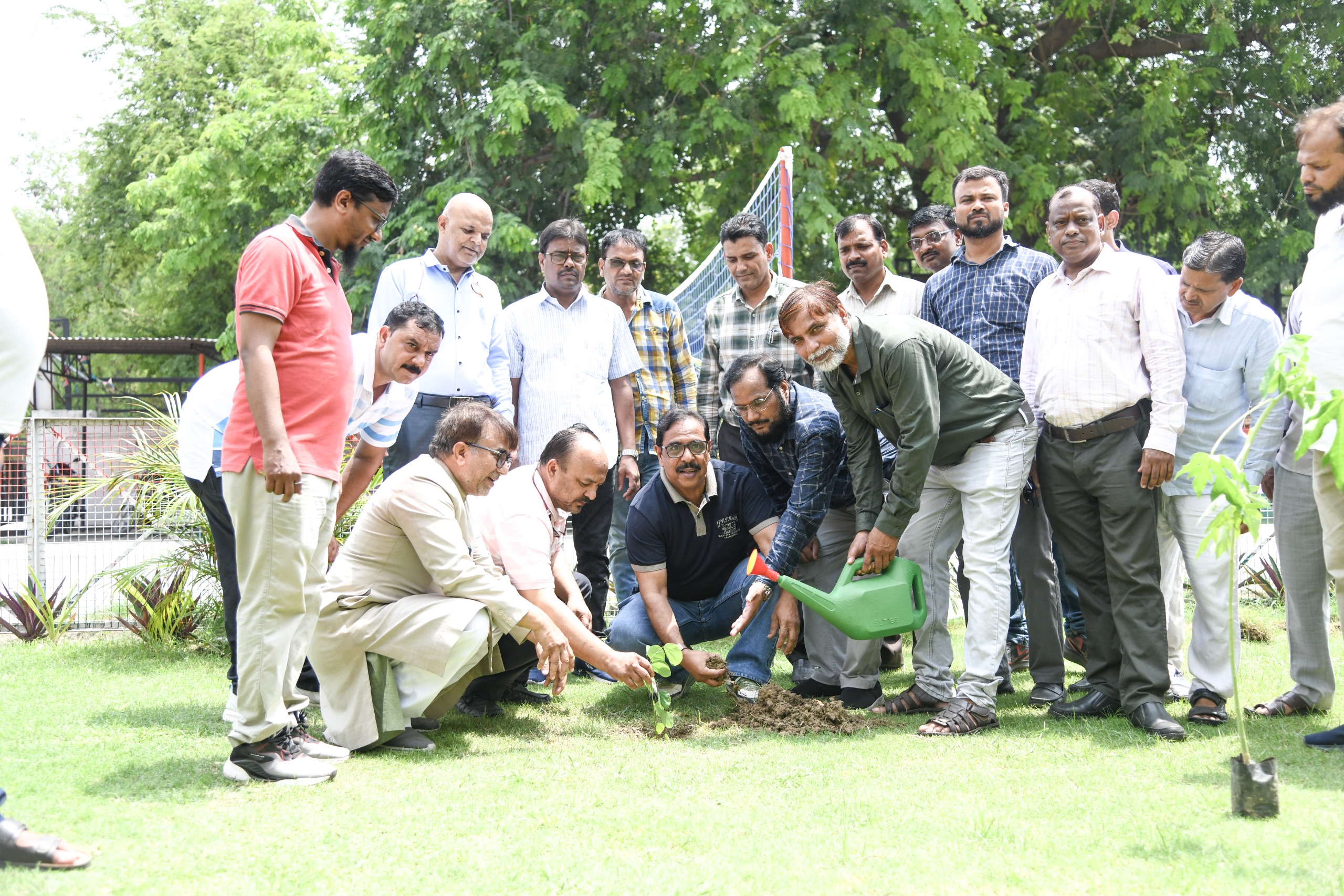 Plantation Drive